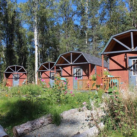 Dfa Cabin Rentals Talkeetna Luaran gambar