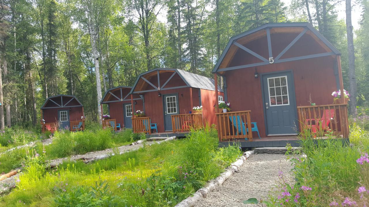 Dfa Cabin Rentals Talkeetna Luaran gambar