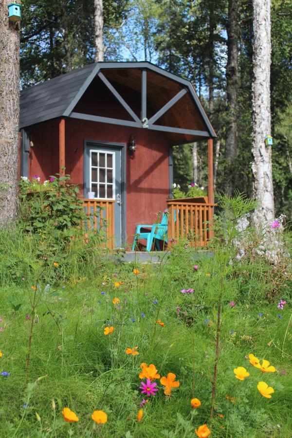 Dfa Cabin Rentals Talkeetna Luaran gambar