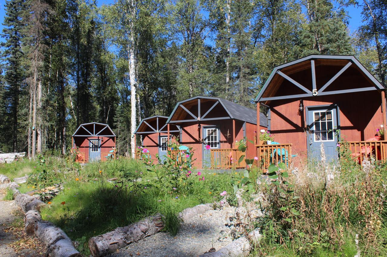 Dfa Cabin Rentals Talkeetna Luaran gambar